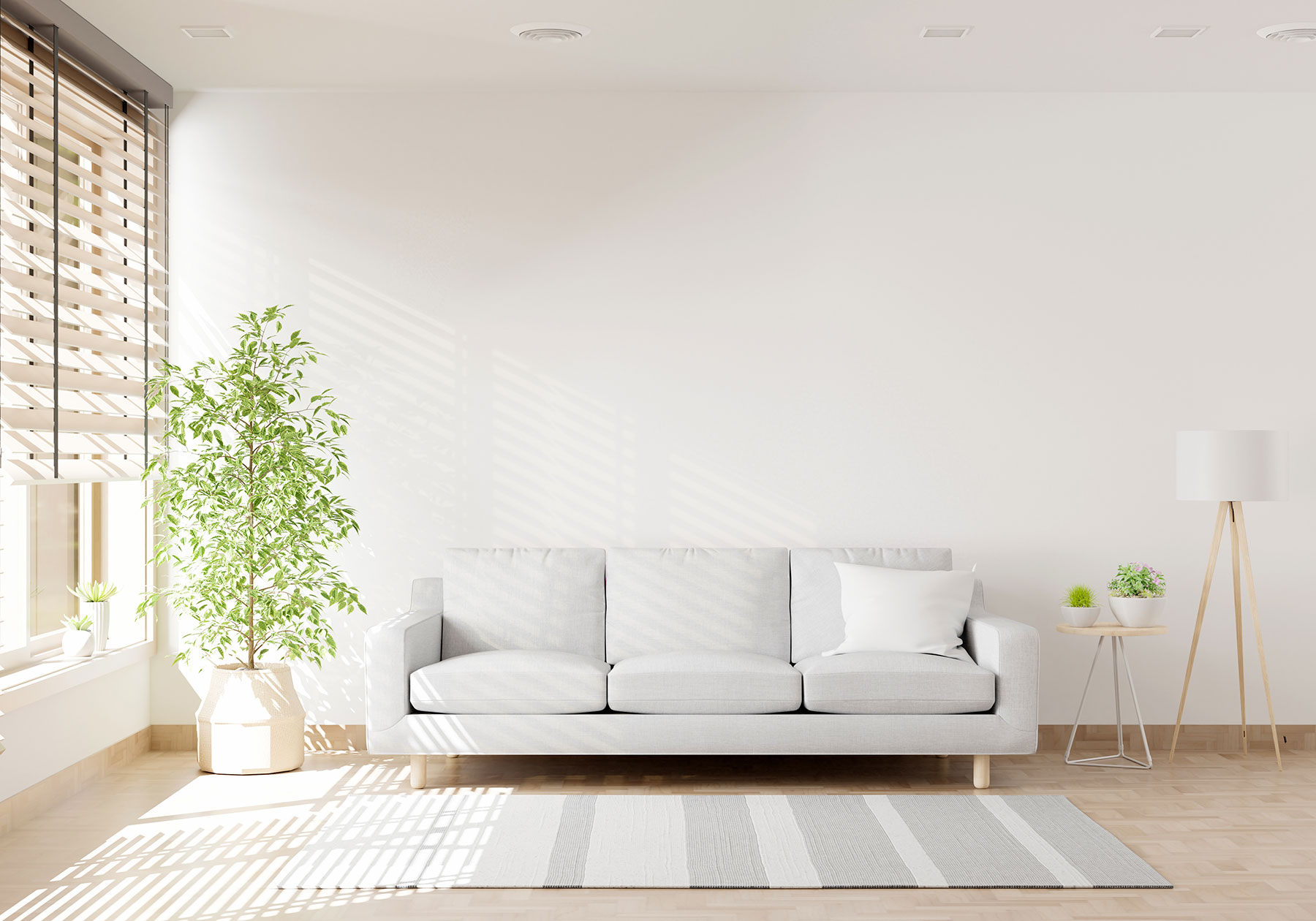zenith_home_9