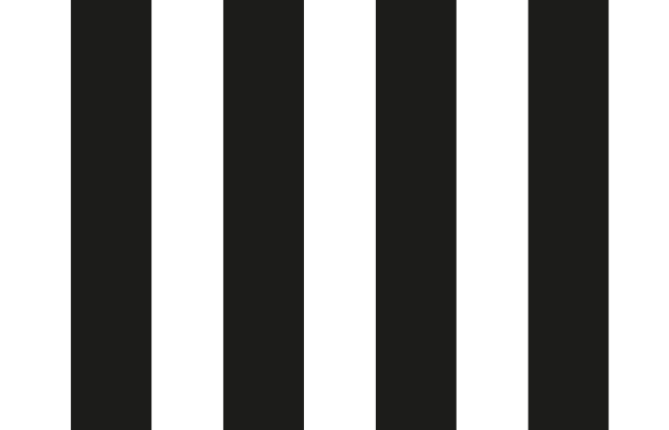 zenith_lineas_sin
